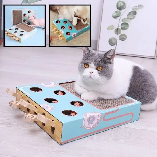 Boîte de jeu pour chat 3 en 1 avec grattoir Car Engineer Store