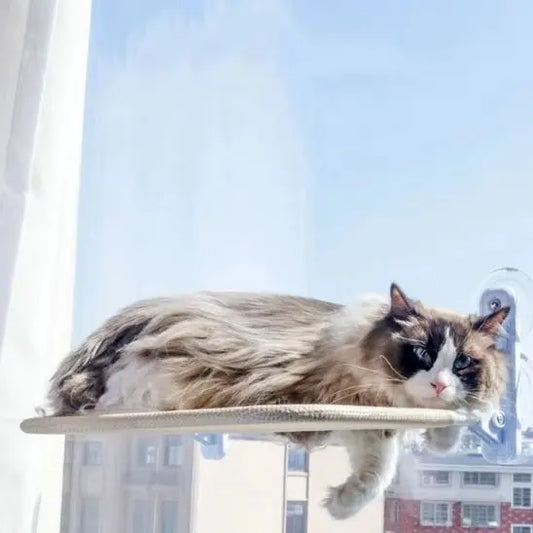 Hamac de Fenetre pour Chat YiHong Kuchi Store