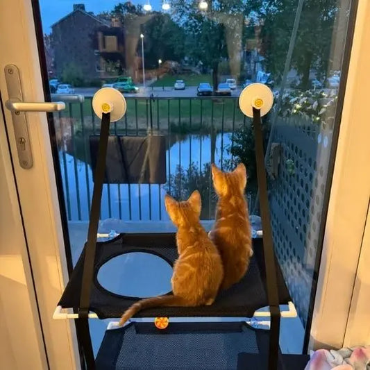 Hamac double de Fenêtre pour Chat Rvlero PET Store