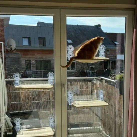 Hamac de Fenetre pour Chat YiHong Kuchi Store