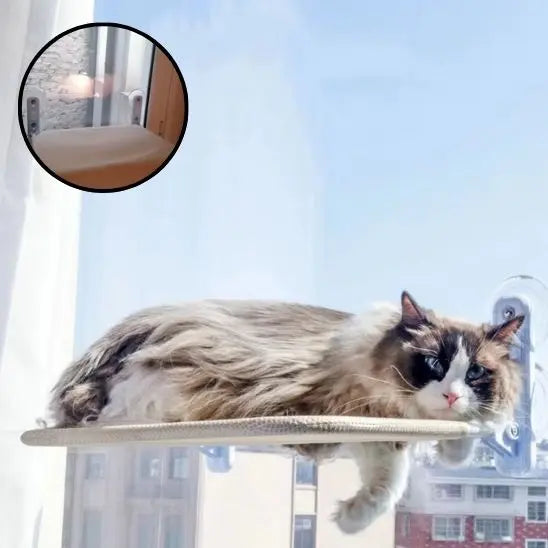 Hamac de Fenetre pour Chat YiHong Kuchi Store