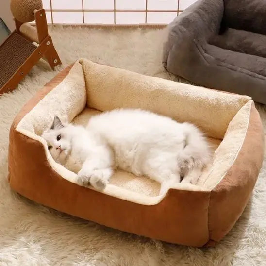 Canapé pour chat doux et moelleux Shop1103720014 Store