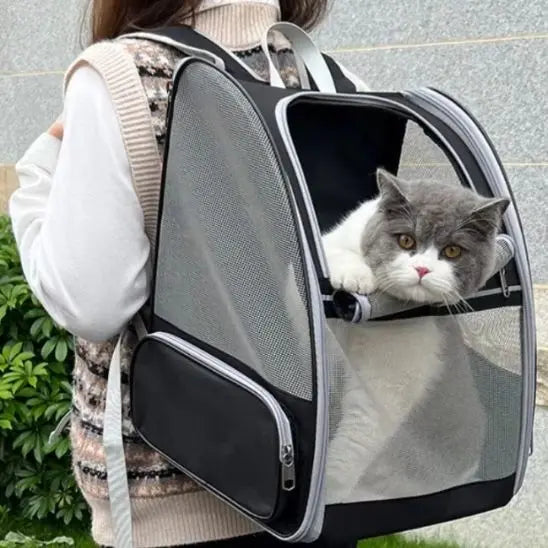 Sac à Dos pour Transport de Chat You Grocery Store