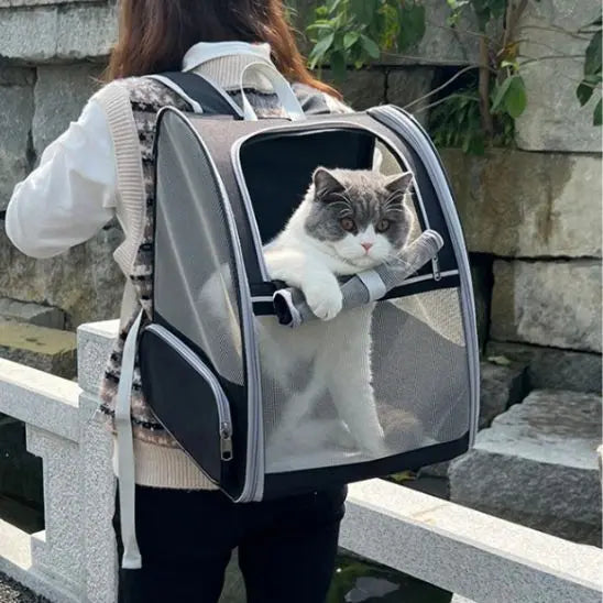 Sac à Dos pour Transport de Chat You Grocery Store