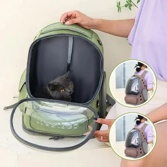 Sac à Dos Transparent pour Chat pawstrip Official Store