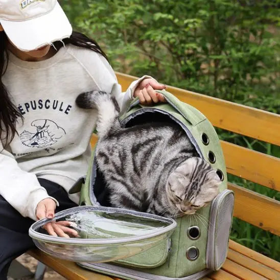 Sac à Dos Transparent pour Chat pawstrip Official Store