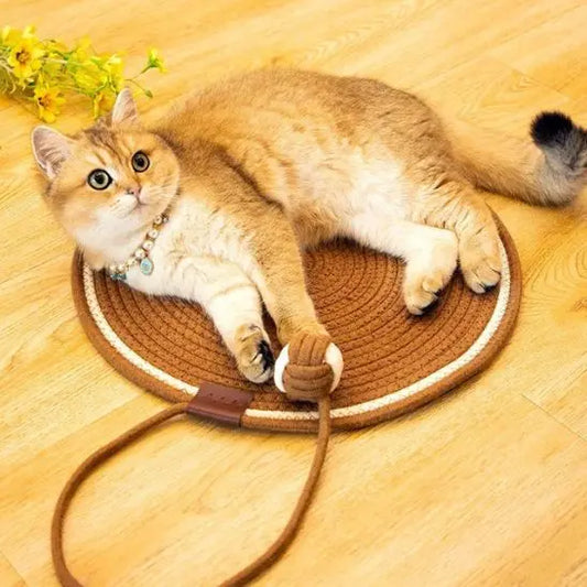Tapis à Gratter en Corde de Coton pour Chat Coolbear Store