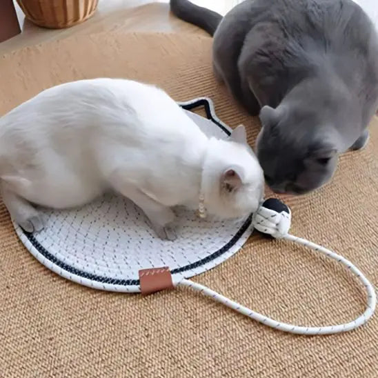 Tapis à Gratter en Corde de Coton pour Chat Coolbear Store
