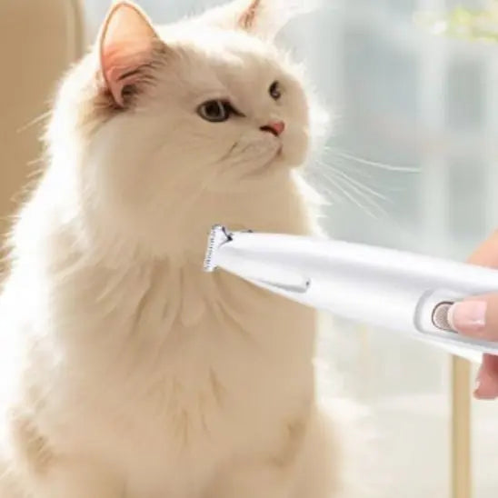Tondeuse pour Pattes Rechargeable TK Top Selling Store