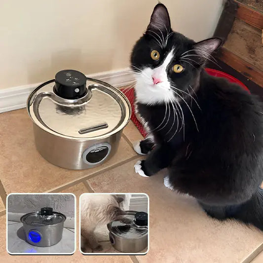 Fontaine d'Eau pour chat sans fil (batterie) 3.2l + 12 filtres ZYFeeder Factory 1 Store