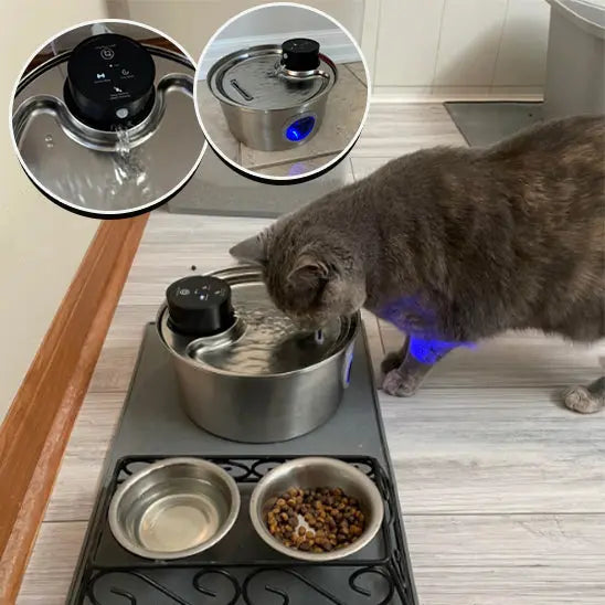 Fontaine d'Eau pour chat sans fil (batterie) 3.2l + 12 filtres ZYFeeder Factory 1 Store