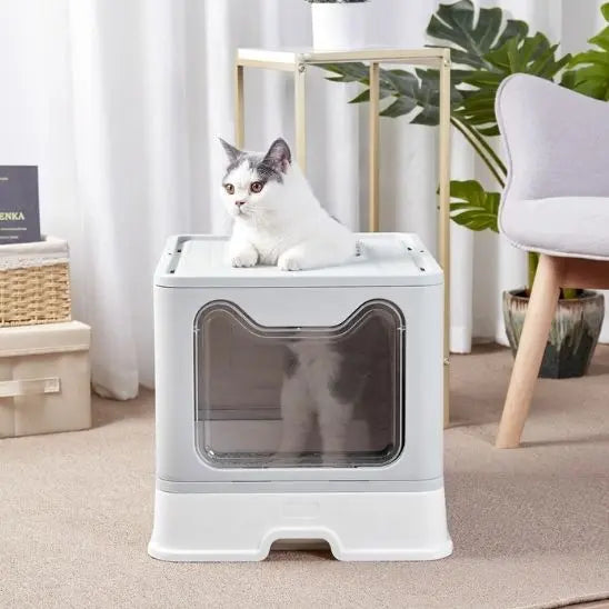 Litière pour Chat Pliable avec couvercle BingoPaw Store