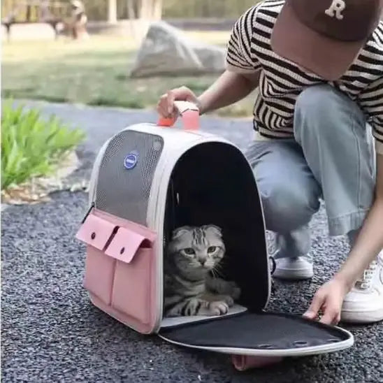 Sac à dos pour chat BOOTEELY LIFE Store