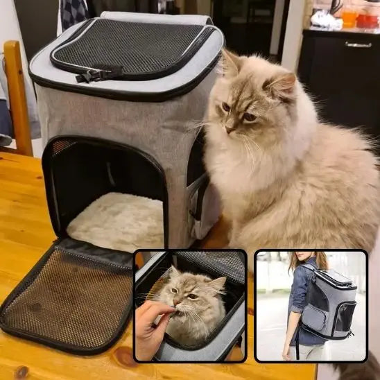 Sac a Dos Chat Extensible Respirant Shop1102962122 Store