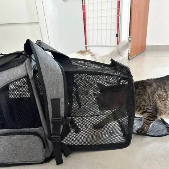 Sac a Dos Chat Extensible Respirant Shop1102962122 Store